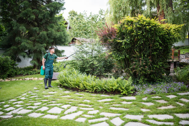 Reliable Firebaugh, CA Pest Control Solutions