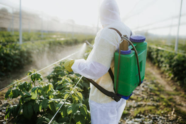 Best Pest Control Near Me in Firebaugh, CA